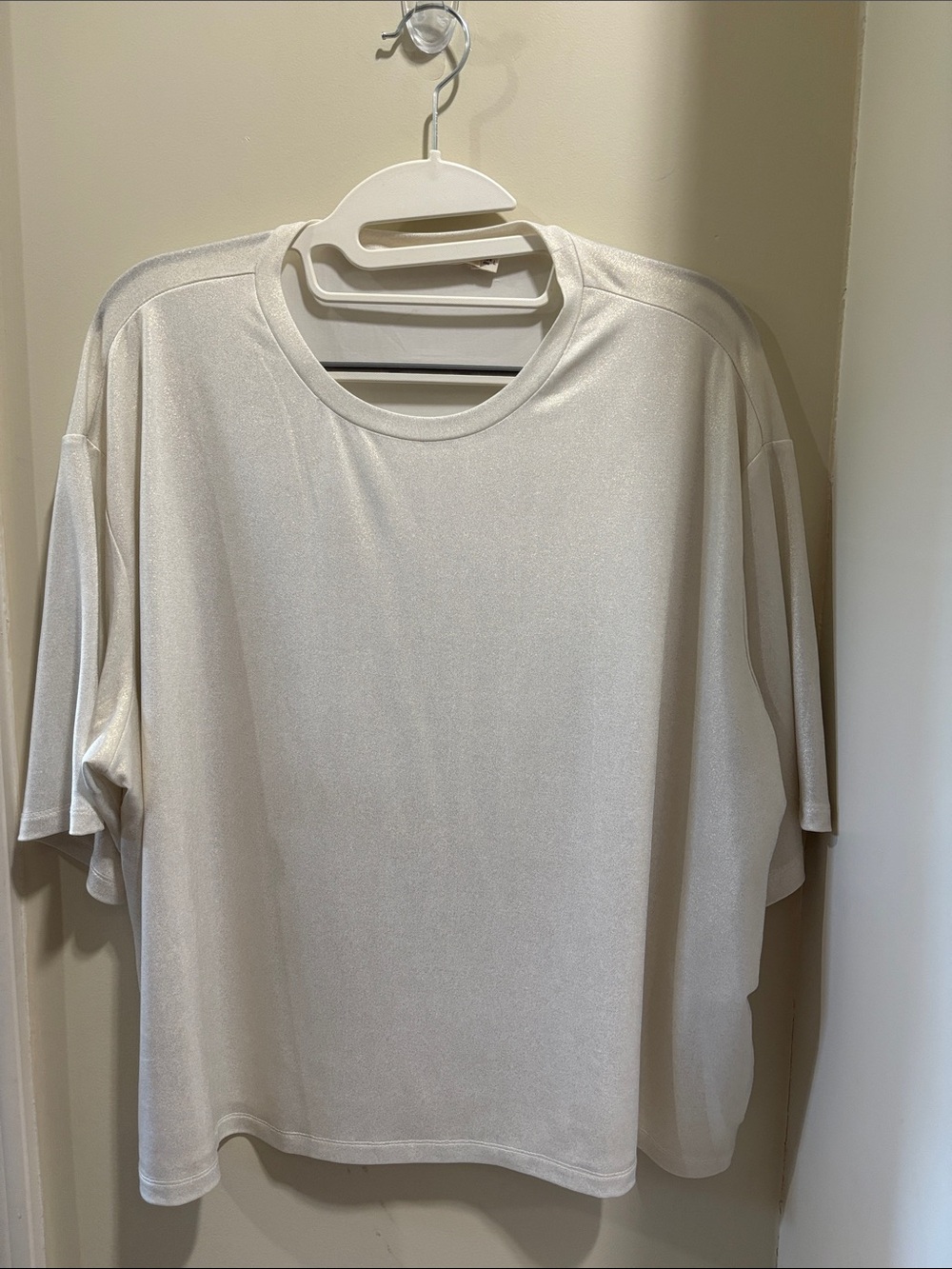 Size Large Ellison shimmery top